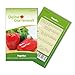 Paprika California Wonder Samen - Capsicum annuum - Paprikasamen - Gemüsesamen - Saatgut für 30 Pflanzen