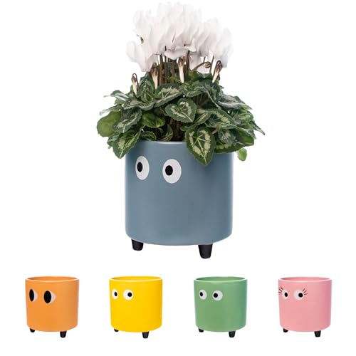 Fisura - Macetero Original con diseño de Ojos. Macetero Decorativo Interior. Macetero con Patas para Cactus. Maceta de cerámica Azul para Flores y suculentas.13 x 12,5 cm.