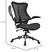 Officefactor Ergonomic Breathable Mesh Chair with Flip-up Armrests, Lumbar Support Executive Rolling Swivel Task Computer Office Chair or Home Desk Chair (Black MESH)