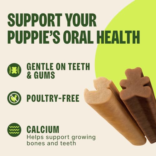 Wellness WHIMZEES Puppy Natural Dog Dental Treat, Chews, Freshens Breath, Extra-Small/Small Size, 7.9 oz Bag, 30 Count - Image 4