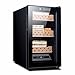 Armoire à cigares Cave à cigares température et humidité constantes ménage Petit réfrigérateur électronique hydratant Mini Armoire à cigares