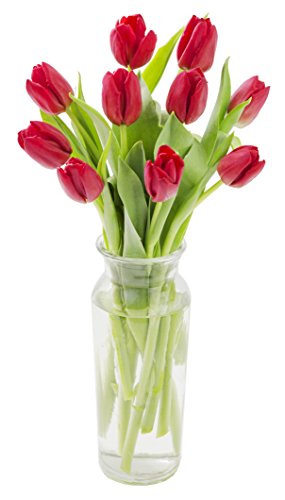 KaBloom-10 Red Tulip Bouquet,Flowers for Valentine, Mother's Day