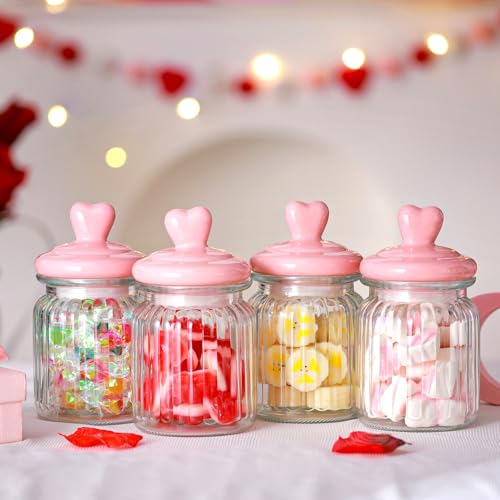 Qinyoung 4 Pcs 16 oz Valentine's Day Glass Candy Jars Clear Valentines Containers with Ceramic Heart Lid Cute Decorative Storage Jars for Cookie Chocolate Nut(Pink,Classic Heart)