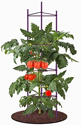 YIDIE Tomato Cage 6FT 6-Pack Tall Plant Garden Stakes, for Vertical Climbing Plants,Garden Plant Support(Stakes are Whole Piece, NOT Separate),Purple