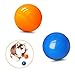 DLDER Dog Balls Puppy Chew Toys for Teething,Small Solid Rubber Bouncy Balls for Dogs,100% Safe & Non-Toxic,Floating Dog Toy Balls for Small Medium Dogs Aggressive Chewers to Fetch,Chew, Play.