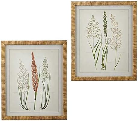 Exclusive Dried Botanical Rattan Framed Print by RAZ Imports, Inc
