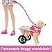 Barbie Doll with 2 Toy Dogs & Pet Accessories, 1 Pup in a Removable Wheelchair with Rolling Wheels, 10+ Piece Set