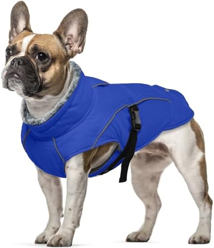 Hundemantel Winter Kleine Hunde, wasserdichte Welpen Warme Jacke Weste Reflektierende Hundejacke Fleece Gefüttert Wintermantel Fleecekragen(Blau, S)