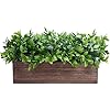 Winlyn 14 artificial boxwood plants in rectangular wood planter farmhouse greenery arrangement centerpiece faux potted herb plant for wedding dining room table kitchen windowsill mantel shelf decor  urban country home decor
