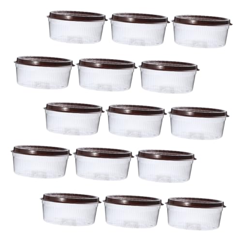 CIYODO 25 Pcs Portable Cupcake Boxes Plastic Cake Containers for Desserts for Cakes Muffins and Party Favors Design for Secure Storage