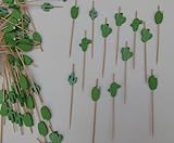 Photo Gallery leone srl spiedi in bamboo cm. 12 cactus 100 pz Photo Gallery leone srl spiedi in bamboo cm. 12 cactus 100 pz