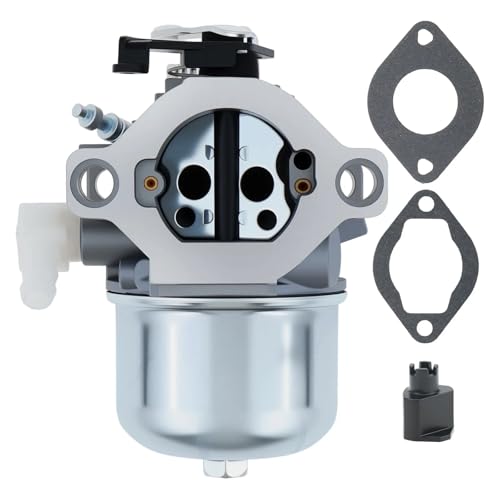 Carburateur pour 286702 avec flux air-essence optimisé pour moteur 289702