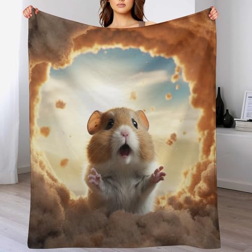 PPZYY Manta de hámster para cama de cuatro estaciones, manta de sofá, manta de franela suave y mullida, manta de forro polar (100 x 130 cm)