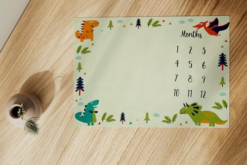 Image of Monthly Milestone Blanket Dinosaur Design | 1-12 Months | Ultra-Soft & Skin-Friendly | Ideal for Newborn Boys & Girls | Perfect Baby Growth Tracker & Photoshoot Prop