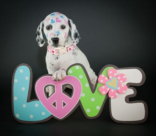 Collier chien Saint-Valentin rose résistant réglable DOGWONG - 5