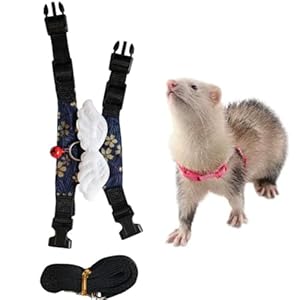 Ferrets Harness Leashes Set Small Animal Vest Cute Bowknot and Safe Bell Decor Chest Strap for Outdoor Walking Rabbit Guinea Pig Bunny Hamster Puppy Kitten (M,Blue)