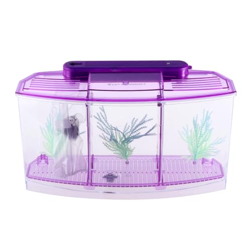 Aquarium pour poissons rouges compact triple compartiment installation facile