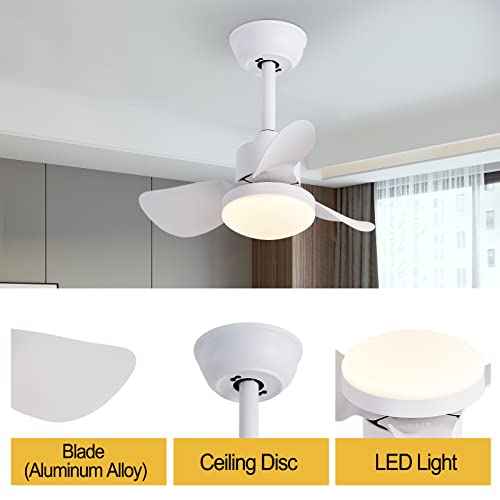 Emikirii Ceiling Fan With Lights And Remote,21'' Small Modern Ceiling Fan,Smart App Control,Dimmable Metal Blades Flush Mount Quiet Mini Ceiling Fans Lights For Kitchen Dining Room Bedroom #TOP1