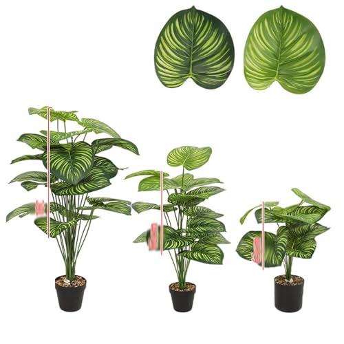 観葉植物 シュロ」の人気商品一覧 | 安い商品を通販サイトから探す