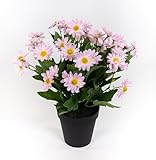 Seidenblumen Roß