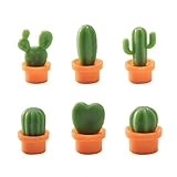 Diseño variado y preciso de cactus, vibrante y lindo.