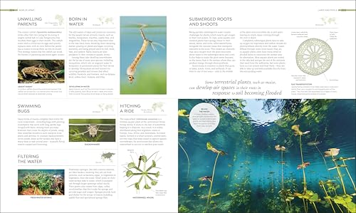 Habitats: Discover Earth's Precious Wild Places - Image 9