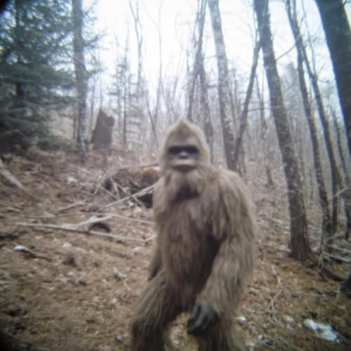 Park Rangers Night Shift Turns Into a Nightmare at Yellowstone Podcast Por  arte de portada