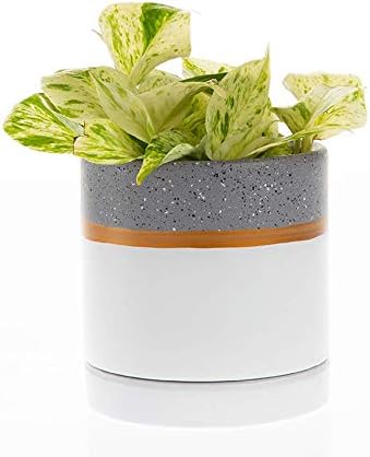 Chrissy Ceramic Pot with Saucer | Modern Pot Decor for Home or Office l Ceramic Pot for Plants (5.5x 5.5, Sand White/Gold) CR6360GR