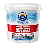 TECHZOCO Cloro Choque Accion Rapida, Recuperador Agua Piscina deteriorada,...