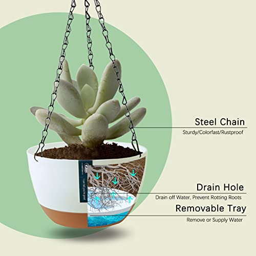 Timplxy 2 Pack Hanging Planters For Indoor Plants, With Drainage Holes And Removable Water Storage Tray, 10 Inch Plant Hanger With Pot For Garden Patio Lawn Balcony Porch #TOP4
