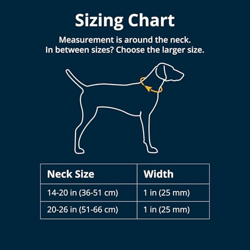 RUFFWEAR Knot-a-Collar mittelgroßes Hundehalsband, Kletterseil, verstellbar und stark für Spaziergänge mit dem Hund, Größe M (36–50 cm), Blauer Pool