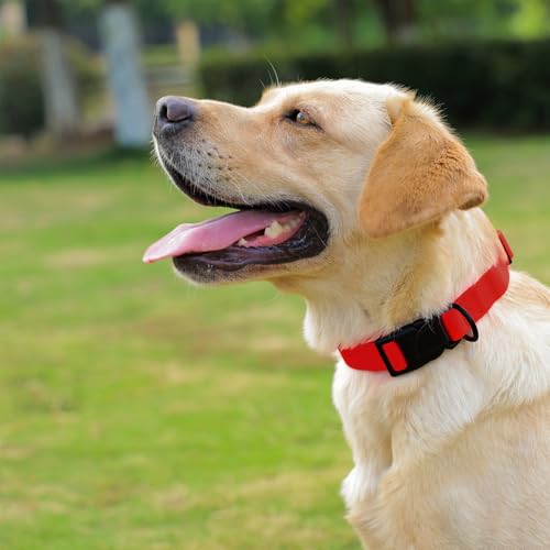 Image of Waterproof Dog Collar, Easy to Clean Rubber Dog Collars with Quick Release Buckle Fits Small Medium or Large Dogs (Red, M (11.8-18.5 inch))