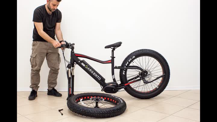 Argento Elephant PRO, Bicicletta elettrica Mountain bike, Assicurazione AXA  \