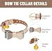 Dog Collar and Leash with Bow Tie for Small Dogs - Puppy Leash Collars Classic Beige Plaid Adjustable Size with Golden Bell, Perfect for Small Breeds and Boys