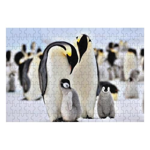 ペンギン パズル」の人気商品一覧 | 安い商品を通販サイトから探す