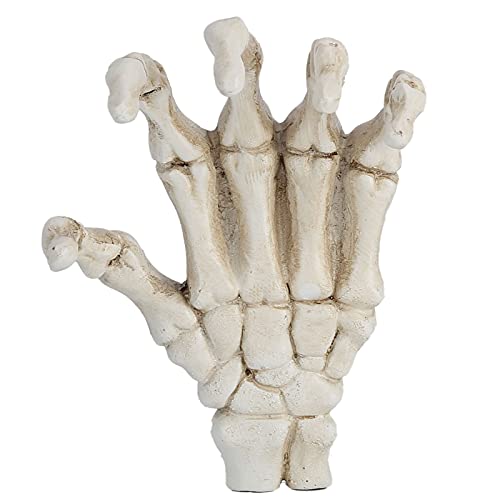 Image of Yosoo Halloween Skeleton Hands,High Hardness Light Weight Hand Bone Ornaments,Providing Medical Students with Hand and Wrist Structure and Descriptive Details