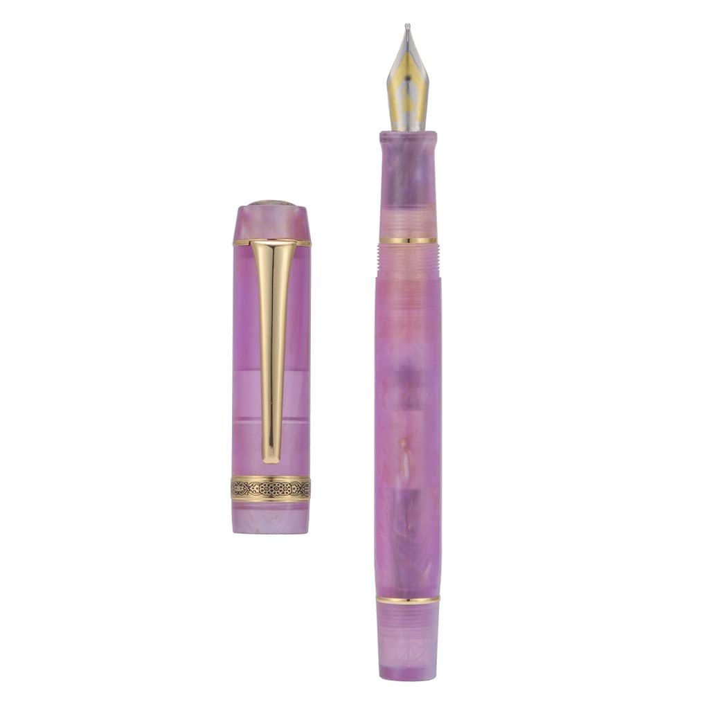 Stylo plume, belle lumière F/plume encre d'écriture bureau école