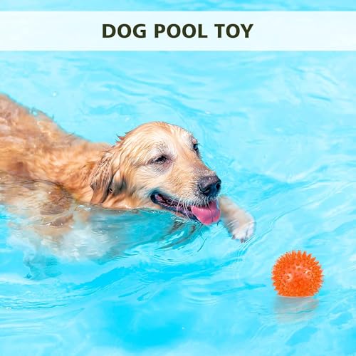 Petizer 6-Pack 9cm Squeaky Ball Toys for Dogs, Spiky, Floatable Pool Toy - Image 3