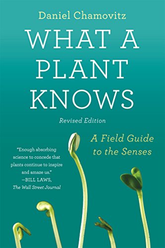 What a Plant Knows: A Field Guide to the Senses
