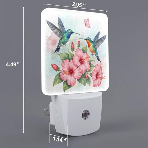 Image of Futterya Plug-in LED Night Light, Hummingbird Hibiscus Set of 2 Dusk-to-Dawn Auto Sensor Decor Lamp