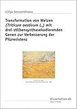  Transformation von Weizen (Triticum aestivum L.) mit drei stilbensynthasekodierenden Genen zur Verbesserung der Pilzresistenz