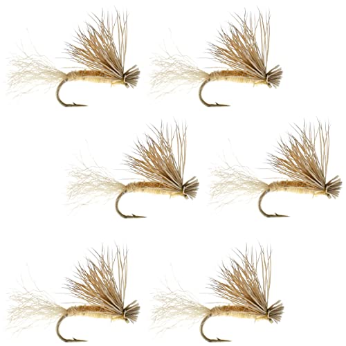 The Fly Fishing Place Tan X Caddis Emerging Caddis Adult Trout Dry Fly - Set of 6 Flies Size 14