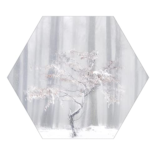 Papel pintado hexagonal - Dormant Forest In Winter, Dimensión Alto x Ancho: 130x150 cm Cover