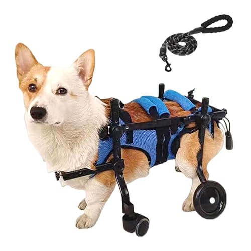 Silla de ruedas para perros pequeños que ayuda a su rehabilitación