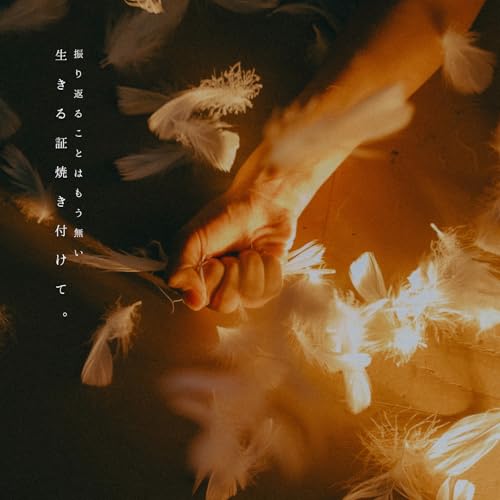 渡り鳥の商品画像