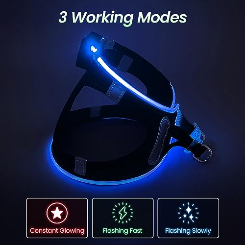 PcEoTllar Pettorina Luminosa per Cani, LED