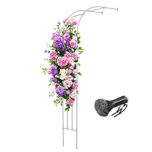 Arche de jardin pour plantes grimpantes – Demi-arche pour roses, 300 x 240 cm, robuste et treillis, tonnelle d'extérieur en noir, blanc, vert, parfaite pour la décoration de jardin.