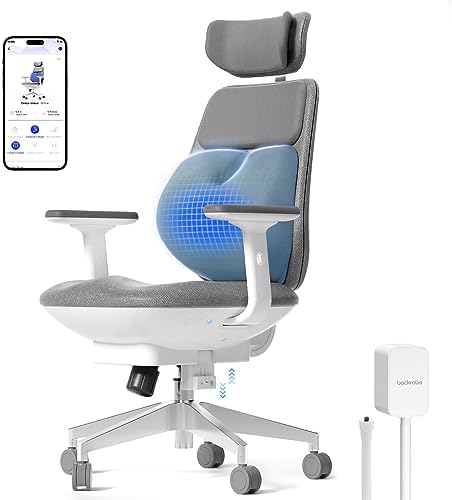 backrobo Smart Ergonomic Home Office Chair, Automatic Massage Lumbar ...
