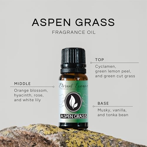 Image of Aspen Grass - Premium Grade Fragrance Oils - 10ml - Scented Oil