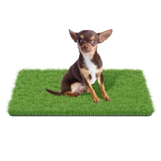 MAYSHINE Artificial Grass Door Mat - for Entryway Indoor/Outdoor Green Turf Rug, Perfect for Dog Potty Training and Multi-Purpose Use 29.5x17inches